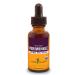 Herb Pharm Periwinkle Liquid Extract - 1 Ounce 1 Fl Oz (Pack of 1)