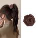 Dry and Withered Rose Claw Clip for Women's Side Hair Clip Fresh and Sweet Rose Ponytail Clip Coffee Flower Gripper