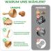 Premium Wood Fascia Roller & Massage Scooter for Muscle Relaxation | Anti-Cellulite Beech Gua Sha Tool - Buy Online on GoSupps.com