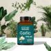 ERTHRI Odorless Garlic Fresh Tablets 5000mg (90 Count) Herbal Supplement with Pure Extracts No Preservatives & Gluten-Free Made with Natural Ayurvedic Formula-Pack of 1 (90 Count) - Buy Online on GoSupps.com