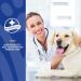 NaturVet Coprophagia Stool Eating Deterrent & Breath Aid - 130 Soft Chews (10 oz) - Buy Online on GoSupps.com