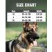 Joytale Tactical Dog Collar - Large Camouflage Dog Collar with Handle & QR Code Tag for Ultimate Safety | Shop Internationally - Buy Online on GoSupps.com