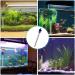 Abiemuce 300W Aquarium Heater | 304 Stainless Steel | Adjustable Temperature | Suction Cup Design | Ideal for Fish Tanks (18-34 220V) - Buy Online on GoSupps.com