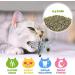 Set of 10 Catnip Toys for Indoor Cats | Interactive & Squeaky Kitten Supplies for Dental Health | Perfect Gift for Cat Lovers - Buy Online on GoSupps.com