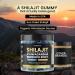 Organic Shilajit Gummies Sea Moss Ashwagandha 105+ Trace Minerals Organic Burdock Root & Lions Mane Mushroom - Blue Razz Vegan & Non-GMO Made in USA 60ct - Buy Online on GoSupps.com