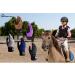 Lovmead Kids Riding Gloves - Breathable Grip Gloves for Ages 5-14 | Ideal for Riding Cycling Gardening & Sports - Buy Online on GoSupps.com