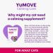 YuMOVE Calming Care for Cats | Previously YuCALM Cat | Calming Supplemnent for Cats who are Stressed or Nervous | Packaging may vary 30 Tablets - Buy Online on GoSupps.com
