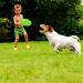 Buy Wellxunk Dog Frisbees - 2-Piece Rubber Dog Toys 22 cm for Training & Play (Green + Orange) - Perfect for Land & Water - Buy Online on GoSupps.com