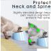 SuperDesign Mess Free 15 Slanted Bowl for Dogs and Cats Tilted Angle Bulldog Bowl Pet Feeder Non-Skid & Non-Spill Easier to Reach Food S/150ml Light Blue Light Blue 150 ml (Pack of 1) - Buy Online on GoSupps.com