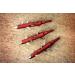 Crown Broadheads by Thorn - 100/125 Grain Crossbow/Compound Bow Broadheads - Buy Online on GoSupps.com