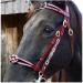 English Horse Bridle - Adjustable Leather Noseband - for Horses Horse Accessories and Horse Racing Equipment (Red)