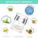 Acne Treatment Cream Ivnil Anti Acne Spot For Face Back Inner Thigh Butt Anti Acne Cream For Teenagers Suitable For Sensitive Skin Natural Ingredients 30g - Buy Online on GoSupps.com