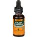 Herb Pharm Alcohol-Free Golden Echinacea Glycerite for Immune System Support - 1 Ounce