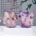 Natural Crystal Rough Natural Amethyst Crystal Geode Amethyst Cluster Point Druzy Reiki Specimen Amethyst Raw Rock Crystal Stone Collection Decor Gift 700-800g AGBLKLCME (Size : 700-800g) - Buy Online on GoSupps.com
