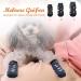 Ranypet Indoor Anti-Slip Socks for Dogs | Soft Adjustable Paw Protection with Traction Control | Ideal for Old Dogs on Hardwood Floors - 3 Pairs M Size Pf tchen Pattern - Buy Online on GoSupps.com
