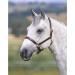Shires Ragley Lined Leather Headcollar: Havana: Cob Havana Cob - Buy Online on GoSupps.com