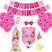 Birthday Sparty Bandana hats Set for girls dogs for the 1st birthday with a number dog fly dog Happy Birthday Banner-Paw printing balloon great dog birthday outfit and party decoration pink