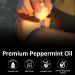 Korean Peppermint Essential Oil Roll-On | Therapeutic Anti-Stress & Headache Relief | Premium Aroma Oil 10ml - Buy Online on GoSupps.com
