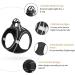 Heele Dog Harness for Small & Medium Dogs - Adjustable Reflective Soft Mesh Breastplate - Breathable & Comfortable (1 Pack) - R-Black - Buy Online on GoSupps.com