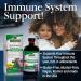 Nature's Answer Sambucus Immune Support with Echinacea & Astragalus - 12000 mg, 8 fl oz - Buy Online on GoSupps.com