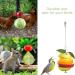 JTKREW 2 Pack Stainless Steel Bird Skewers for Parrots | Fruit & Vegetable Holders | Foraging Toys - Buy Online on GoSupps.com