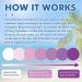 Vesone 16 UV Stickers for Sunscreen UV Detection Reminder UV Patch Waterproof UV Patches Sunscreen Color Changing UV Detecting Patches Know When to Reapply Sunscreen for Adults and Kids - Buy Online on GoSupps.com