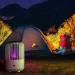 SEFAX Indoor/Outdoor Mosquito Killer Lamp Quiet Physical Mosquito Control Electric Shock Mosquito Killer Fly Trap Indoor Electric Mosquito Lamp for Travel Camping Picnic - Buy Online on GoSupps.com