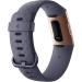 Shop Fitbit Charge 3 Fitness Tracker - Rose GoldBlue Grey | Best Deals & Free Shipping - Buy Online on GoSupps.com