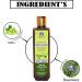 Blessfull Healing Organic Rosemary Amla Hair Cleanser | Shampoo 200 ML (Packing May Vary) 200 ml (Pack of 1) - Buy Online on GoSupps.com