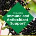Nature's Bounty Elderberry Gummies for Immune Support with Vitamin A, C, D, E and Zinc - 40 Gummies - Buy Online on GoSupps.com