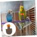 PopetPop Flying Bird Diapers - Reusable Cotton Diaper Pants for Small Birds Pigeons & Parrots | International Shipping - Buy Online on GoSupps.com
