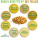 Alovitox Bee Pollen Granules | 100% Pure Raw Bee Pollen Superfood | Antioxidant-Rich Protein & Vitamin Boost | Gluten-Free 16 Oz - 1 lb Pack - Buy Online on GoSupps.com