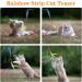 Molain Interactive Cat Toys - 5-Piece Rainbow String Set for Kittens | Engaging Indoor Pet Toys for Training - Buy Online on GoSupps.com