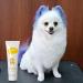 PW Tools Dog Hair Dye - Sapphire Blue | 80g Non-Toxic Long-Lasting Color for Puppies Dogs & Kittens - Buy Online on GoSupps.com