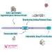 Shop Kittyrama Cat & Kitten Collars - Vogue Approved Vet-Approved Hypoallergenic & Comfortable - Mauve & Other Styles Available - Buy Online on GoSupps.com