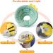 AllSopets Lightweight Cat Protective Collar - Soft Recovery Cone for Cats & Puppies After Surgery - Green - Buy Online on GoSupps.com