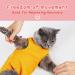 3Pcs Cat Recovery Suit | Abdominal Wound & Skin Disease Care Onesie | Anti-Licking, Large Size, Classic Pattern - Buy Online on GoSupps.com