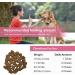 Premium Dog Probiotics 5BIL CFUs | 12 Strains Good Bacteria for Gut & Skin Health | Immune Support & Itch Relief | Salmon Flavored Chews for All Breeds & Ages - Buy Online on GoSupps.com