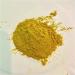 Organic Goldenseal Root Powder - 4.2 oz | 240 Servings - Buy Online on GoSupps.com