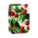 Lipstick Case Leather Lip Gloss Lipstick Organizer with Mirror Mini Lipstick Holder Bag Fruitwatercolor Cherry D188b0becp