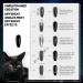 Aokitec 8ML*2 9D Cat Eye Gel Nail Polish Kits With Black Gel Polish And Magnetic Galaxy Glitter Holographic Shimmer Magic UV LED Soak Off Gel For Nail Art (Green & Purple) Green & Violet - Buy Online on GoSupps.com