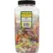 Maxons Fishes Jar 2.95 Kg - Buy Online on GoSupps.com
