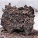 Th Puerh m r Th Puerh noir Plus ancien th Puer QS Aliments verts fabriqu s en Chine 357g - Buy Online on GoSupps.com