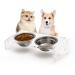 Tilted Raised Cat Bowls, Elevated 15Orthopedic Bowls for Puppy or Small Dog, 6Stainless Steel Pet Feeding Food Dishes Set, Durable Acrylic Stand, Easy to Clean, Also Perfect for Travel Clear