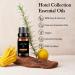 Hotel Scents Elegant Charisma 10ML - Luxurious Cedarwood & Sandalwood Diffuser Oil Inspired by Shangri-La | Premium Aromatherapy Fragrance for Home - Buy Online on GoSupps.com