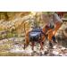 EZYDOG Dog Summit Backpack | Backpack for Hiking Dog Backpack for Small Medium and Large Dogs Padded Handle for Lifting Reflective Piping Durable Ripstop Material (S) - Buy Online on GoSupps.com