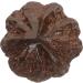 Beaupretty Mini Wooden Sports Stress Balls - Unique Wenwan Handle Craft Decor | International Shipping - Buy Online on GoSupps.com