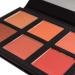 SHANY Shimmer & Matte Powder Blush Makeup Palette with Mirror - BLUSH - Powder Blush - Buy Online on GoSupps.com