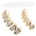 SHERCHPRY 1 Set Teeth Jewelry Single Teeth Grill Grills for Your Teeth for Kids Tooth Gems Big Gold Tooth Cool