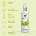 Dr Organic Tea Tree Foot Spray Deodorising Purifying Quick Drying Aluminium Free with Natural Peppermint Oil Vegan Cruelty-Free Paraben & SLS Free Certified Organic 100ml - Buy Online on GoSupps.com